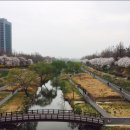 미광공인중개사사무소 이미지