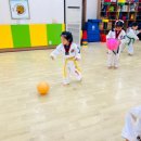 동아대학사태권도 이미지