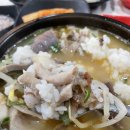 돌산공원 내 도로 | 여수 여행 중 다녀온 돌산대교 돌산공원 맛집 내조국국밥 솔직후기