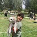 베테랑스 메모리얼 컴뮤니티 리조널 파크(Veterans Memorial Community Regional Park) 74번째 이야기. 이미지