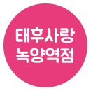 태후사랑 이미지