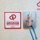 펫온