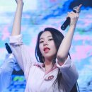 빼꼼낼름 이미지