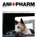 애니팜약국 이미지