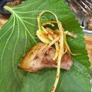 루원뒷고기&숯불꼼장어 | 루원시티 고기집 루원뒷고기&숯불꼼장어, 인천 가정역 맛집 후기