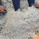 재형26호 이미지