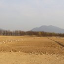 경도농장 이미지