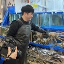 대신상회 이미지