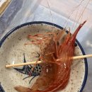 팔팔회센타(본점) | 강원도 속초 대포항 횟집, 대게와 회를 동시에 팔팔회센타 본점