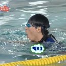 [3박5일 보홀여행기🦭] 놀다보홀 발리카삭 YZ호핑투어 내돈내산 후기