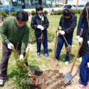 세화중학교 이미지