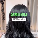 살롱드리나(Salon de rina)