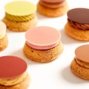 제언농장 이미지