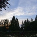 양대목장 이미지