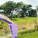 구절초 테마공원 제2주차장 이미지