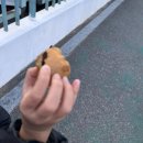 구미국화빵 | 구미 형곡동 국화빵 영업시간 내돈내산 후기