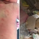 대야노인회관 이미지