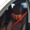 맥스 모터스 이미지