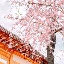 필운대로 이미지