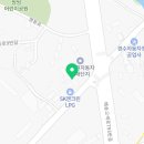 바이더모터스