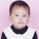 사파리사진관청주점 이미지