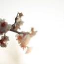 성천로42길 이미지