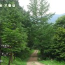 편백숲작은공간 이미지