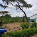 하이마로 이미지