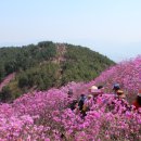 천주산 만남의 광장 이미지