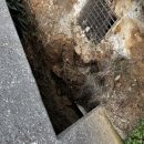 경기도 수원시 권선구 세권로165번길 18 이미지