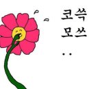 신당초등학교 이미지