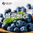 디노짐 이미지