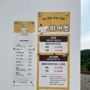 세븐일레븐 원주문막동화점 | [원주 문막] 진정한 힐링은 바로 여기! 2000평 천연잔디 &#34;반려견운동장&#34; - 뛰어멍