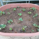 한길농장 이미지