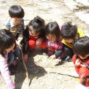 호저초등학교 병설유치원 이미지