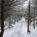 은송이네 이미지