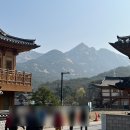 비봉진돗개 | 북한산 등린이 초보코스 (진관사~비봉~사모바위~구기탐방센터) w.막걸리
