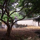 매계조위신도비 이미지