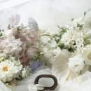 성지연 | W31. 소피소(soffiso) 셀렉 및 수정본 후기(타임라인정리/리두데이/나유어스)