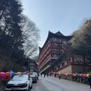 광명당 | [단양] 새해기념 혼자여행 2편