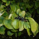 나무뿌리한의원 이미지