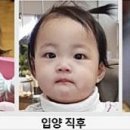 정인유치원 Daum카페