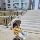 유로픽 | 에이블 코지 프리미엄 트라이크 후기(내돈내산)