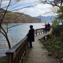 호텔정관루별관(콘도별장) | 남이섬 무료입장 방법 | 정관루 호텔 숙박, 남이섬 별장 애견 동반, 워터파크