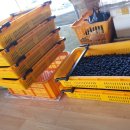 김금순농장 이미지