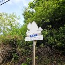 [경기,등산] 가평 장락산 등산! 널미재-정상-원점! 통일교 천정궁 보러가자~ 후기!