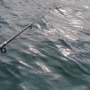 군도3호 | 감성돔과 볼락이 막 쏟아지는 곳 - 고군산 군도 장자도 도보 낚시 포인트!!🎣