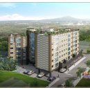 엘림 체육관 이미지