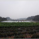 상봉초교 이미지