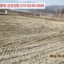 시우보건진료소 네이버블로그